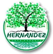 Hernandez Tree Experts Logo
