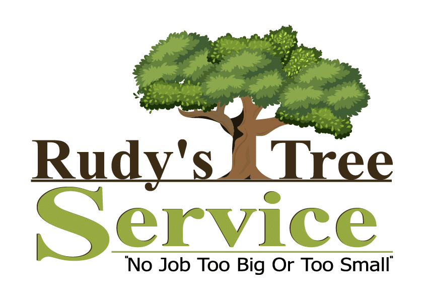 Rudy's Tree Service Logo